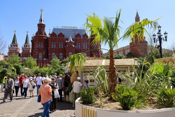 Дни культуры ОАЭ пройдут в Москве